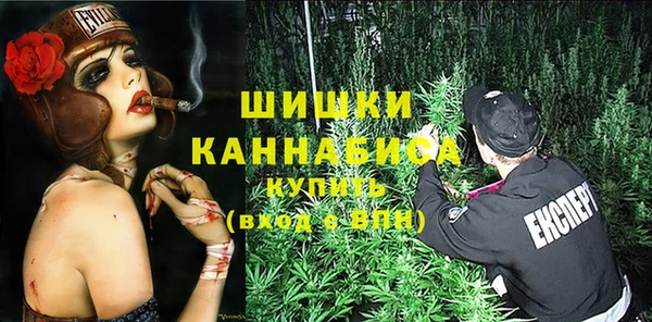шишки Алзамай