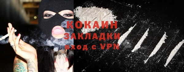 кокс Алексин